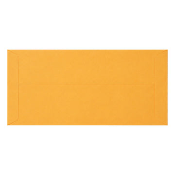 God’s Grace Orange Colour Envelope – 28×12 cm (Set of 4 Pcs)