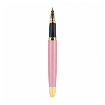 Luoshi 860 Matte Pink Fountain Pen – Fine Nib, Dragon Design