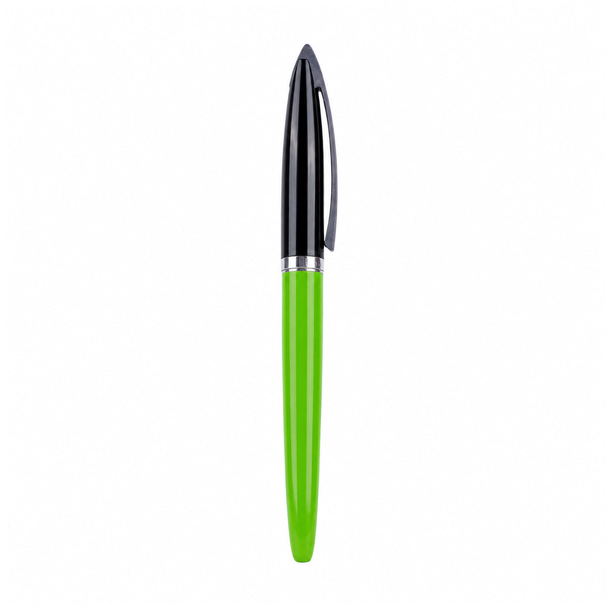 Domain Lion 361 Green Fine Nib Converter Fountain Pen – Cap Type, Black & Green