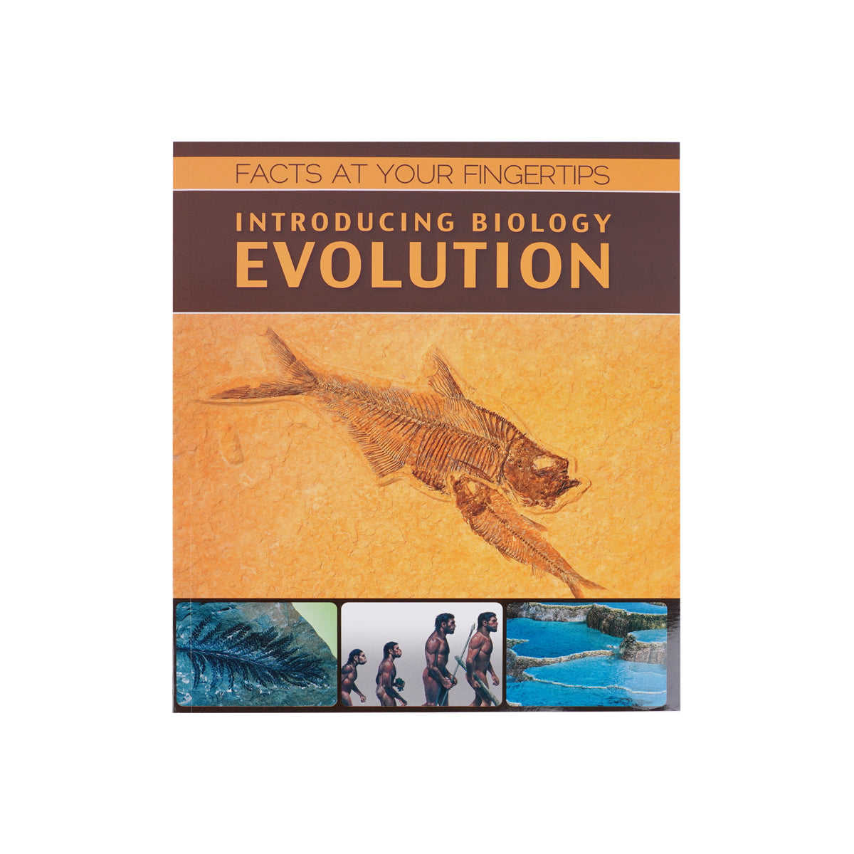 Facts at Your Fingertips: Fascinating Science Series (4-Book Collection) – Hardcover STEM Learning Box Set
