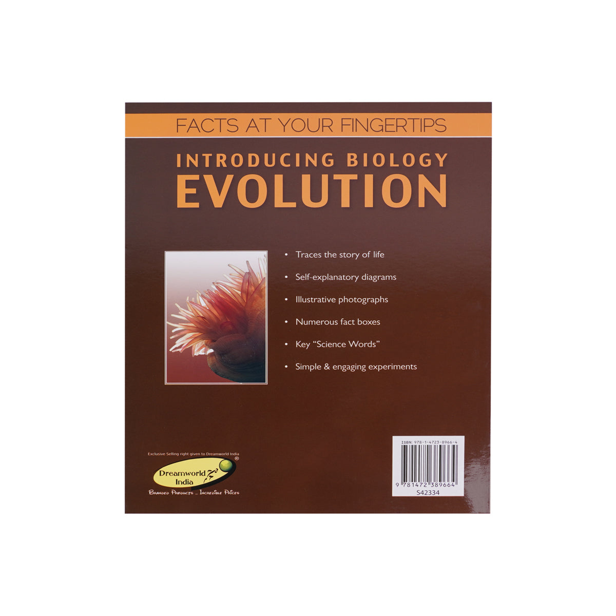 Facts at Your Fingertips: Fascinating Science Series (4-Book Collection) – Hardcover STEM Learning Box Set