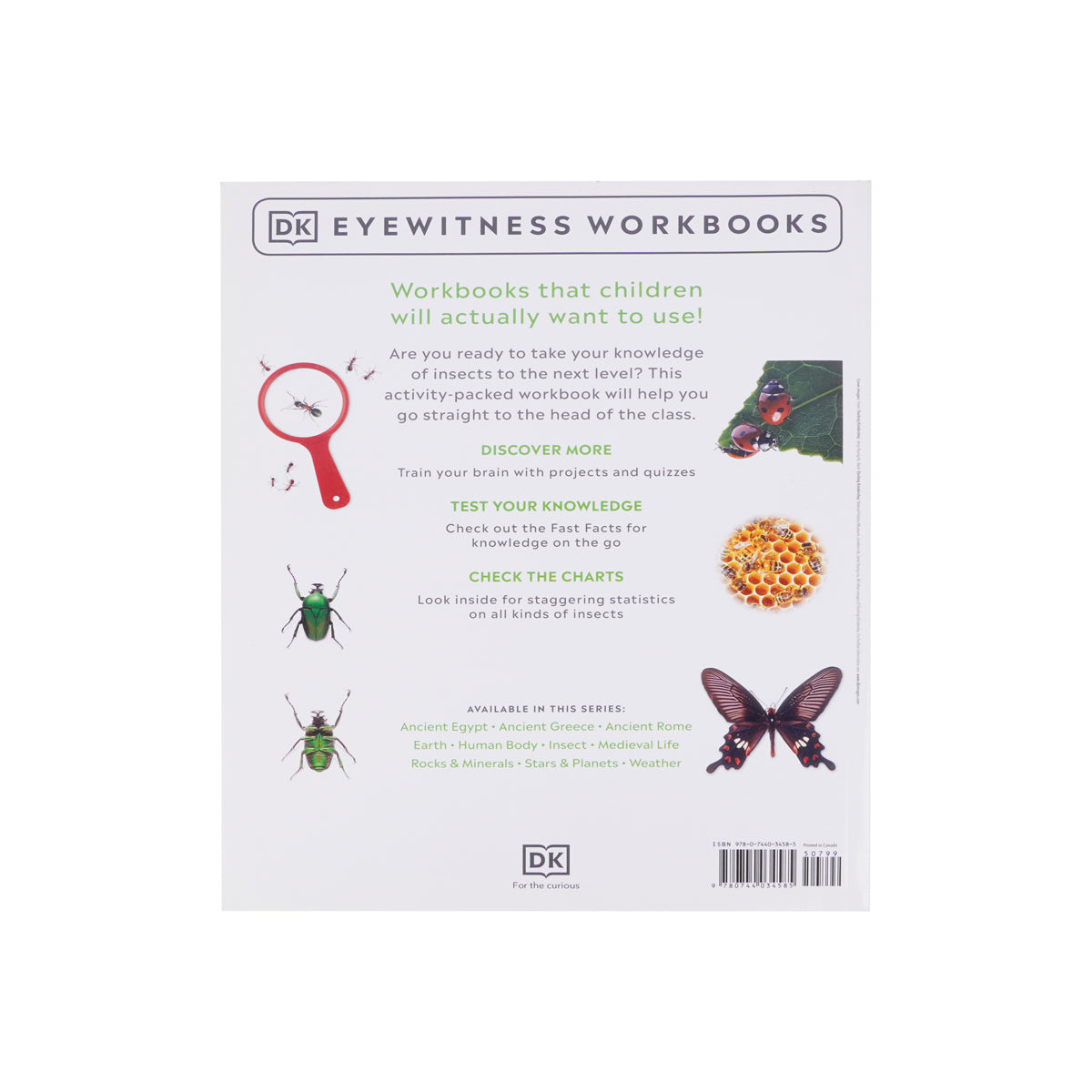 DK Eyewitness Workbooks: Insect – Interactive STEM Learning Workbook for Kids