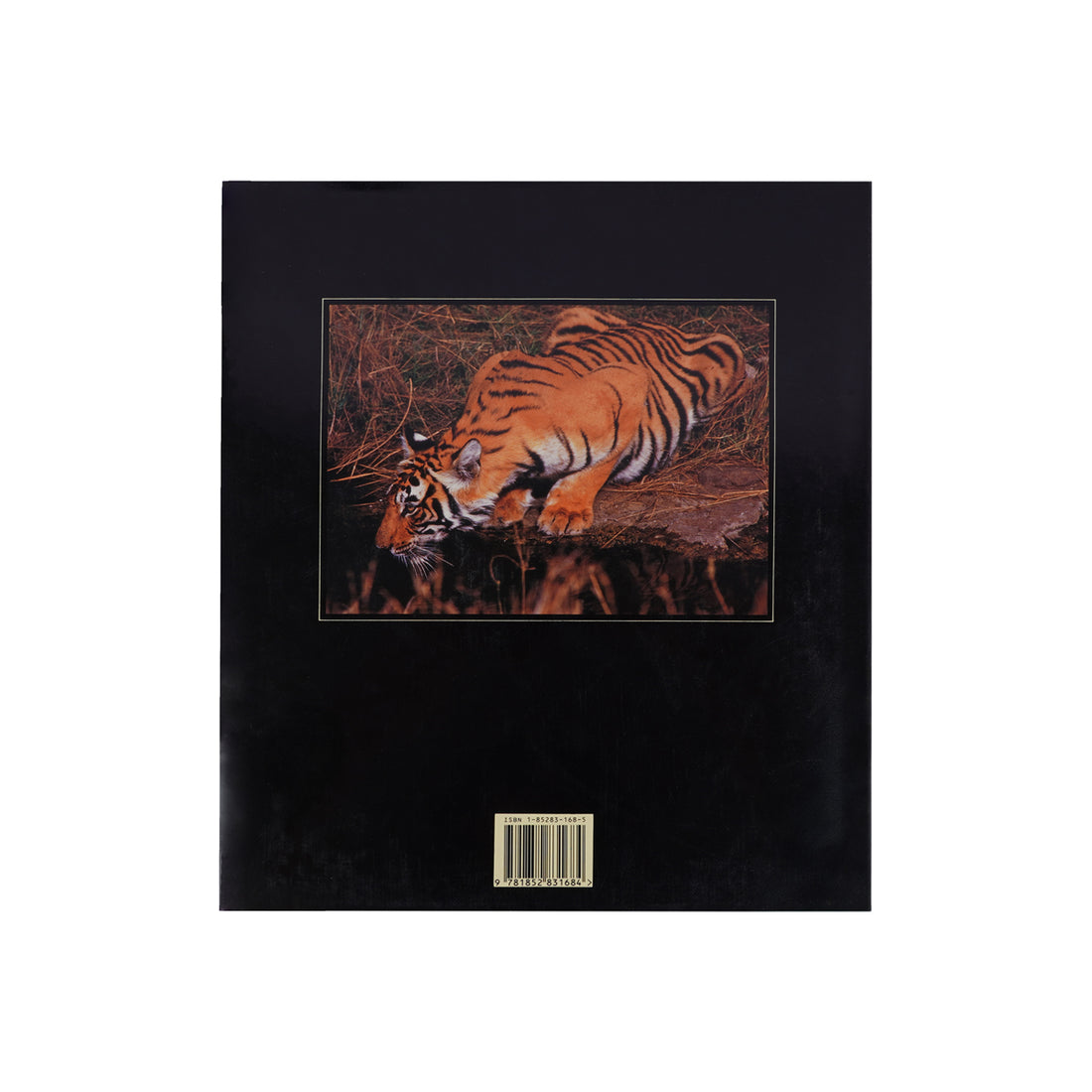 In Search of Wild India by Charlie Pye-Smith – Hardcover Wildlife & Environmental Science Book