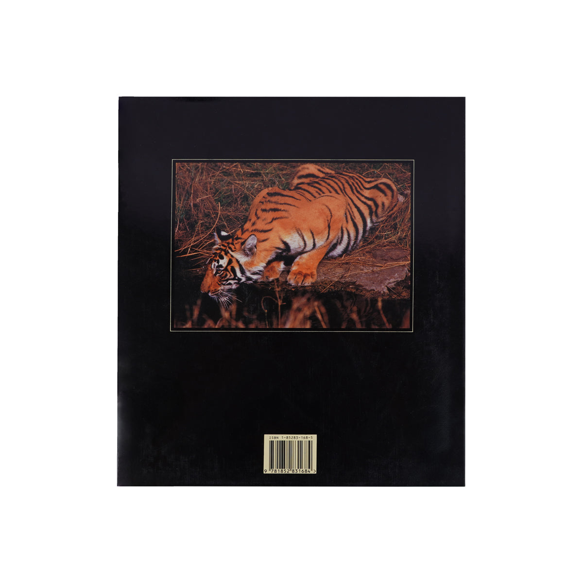 In Search of Wild India by Charlie Pye-Smith – Hardcover Wildlife & Environmental Science Book