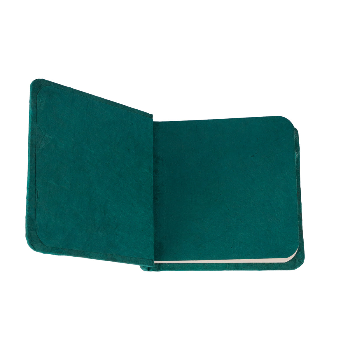 Ayush 7x7 cm Square Sticky Notes Pad Green – 50 Pages 100 GSM