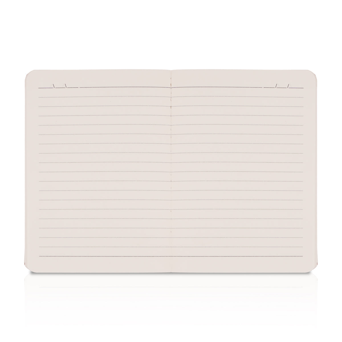 Scholar KNB2 A5 Paryavaran Ruled Notebook