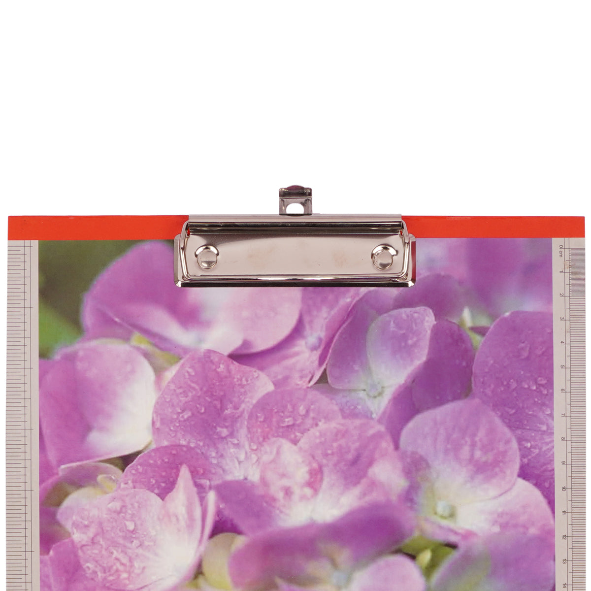 Camlin Kokuyo Purple Flower Printed Examination Pad