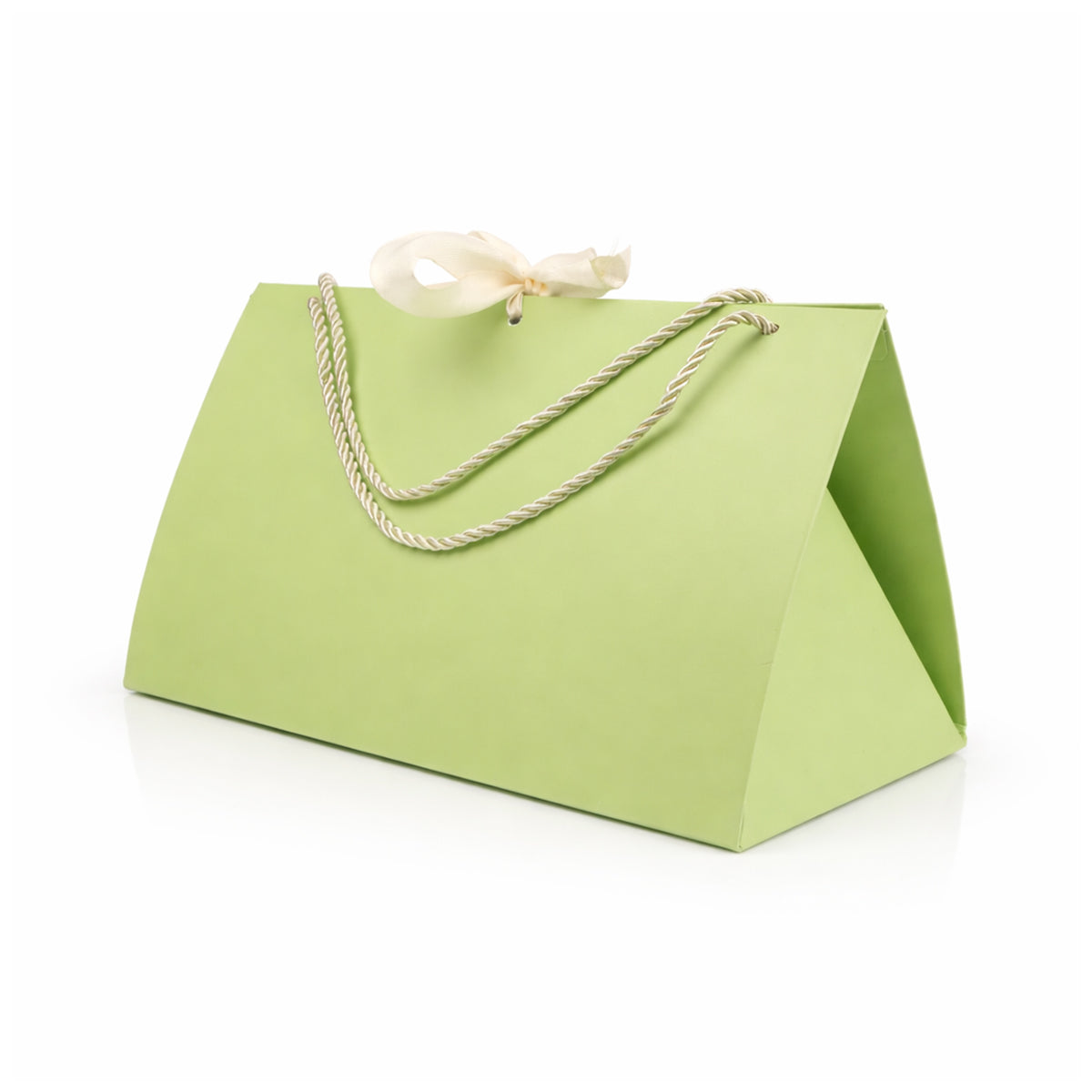 The Writershub Premium Green Paper Gift Bag with Rope Handles