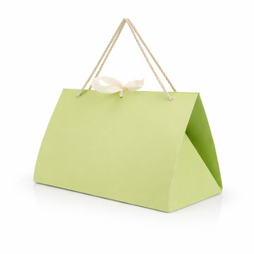 The Writershub Premium Green Paper Gift Bag with Rope Handles