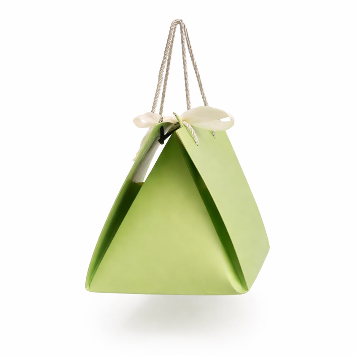 The Writershub Premium Green Paper Gift Bag with Rope Handles