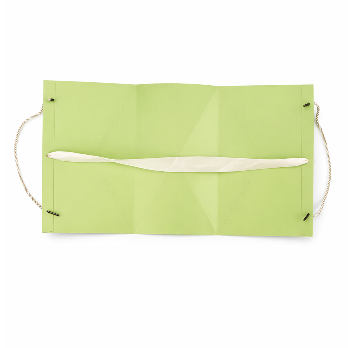 The Writershub Premium Green Paper Gift Bag with Rope Handles