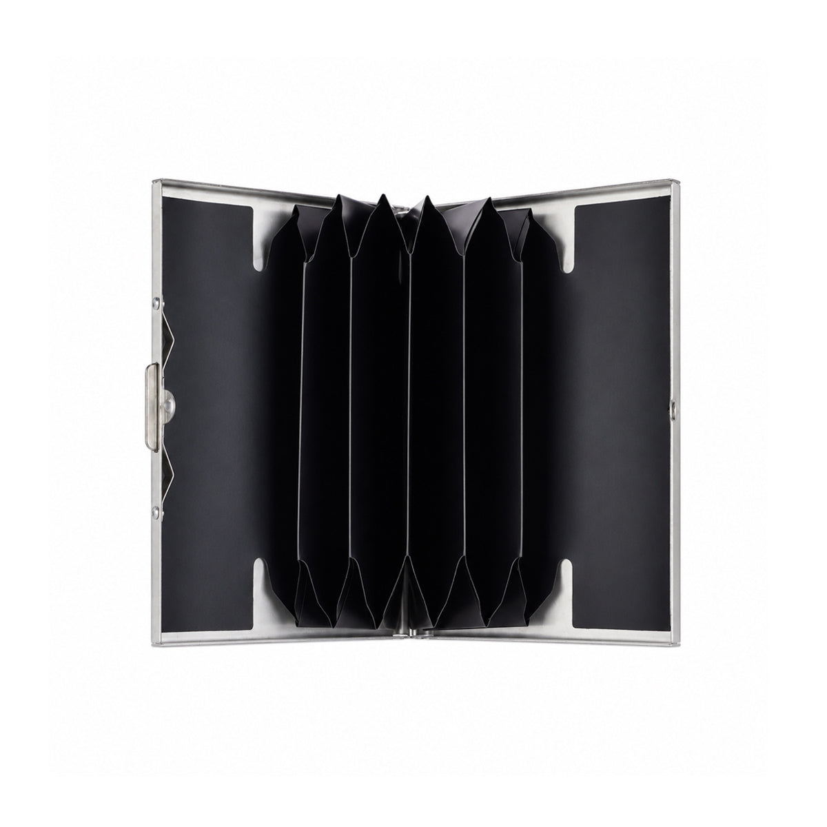 The Writershub Black Visiting Card Holder with Accordion Design